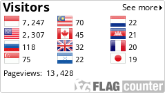 Flag Counter