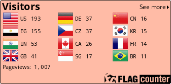 Flag Counter