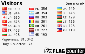 Flag Counter