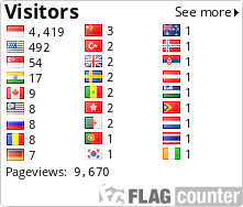 Flag Counter