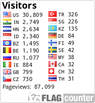 Flag Counter