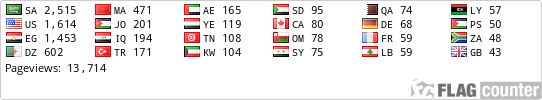 Flag Counter