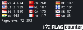 Flag Counter