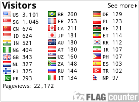 Flag Counter