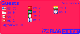 Flag Counter