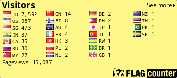 Flag Counter