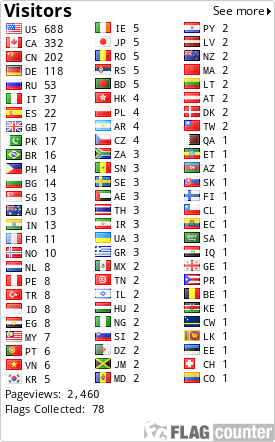 Flag Counter