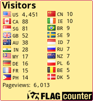 Flag Counter