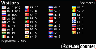Flag Counter