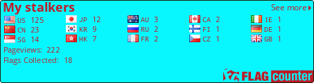 Flag Counter