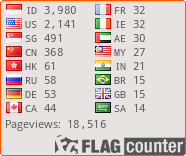 Flag Counter