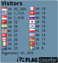 Flag Counter