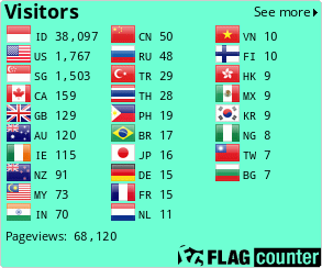 Flag Counter