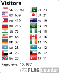 Flag Counter