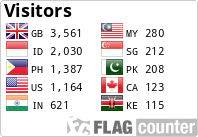 Flag Counter
