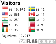 Flag Counter
