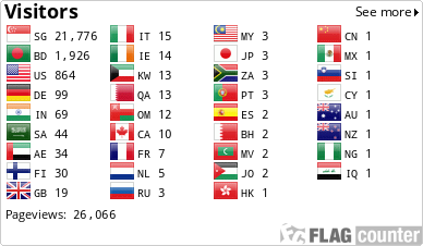 Flag Counter