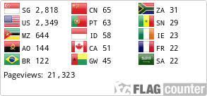 Flag Counter