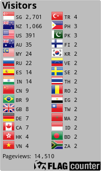 Flag Counter