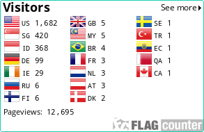 Flag Counter