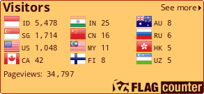 Flag Counter