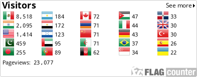 Flag Counter