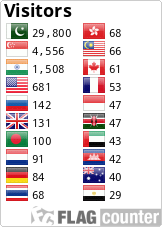 Flag Counter