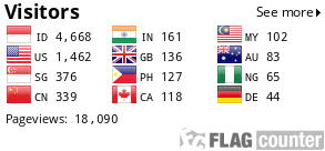 Flag Counter