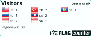 Flag Counter