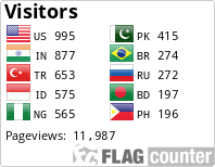 Flag Counter