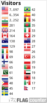 Flag Counter
