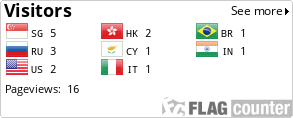 Flag Counter