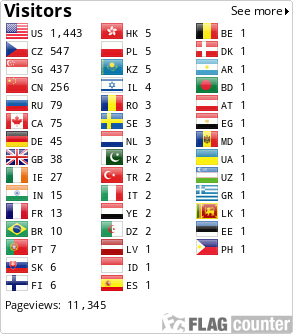 Flag Counter