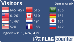 Flag Counter