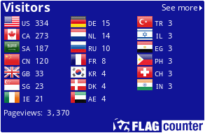 Flag Counter