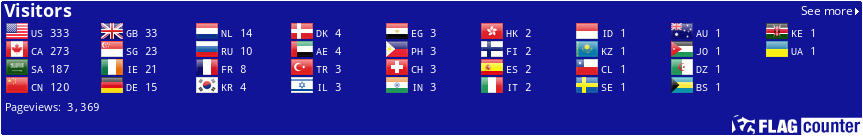 Flag Counter