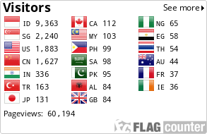 Flag Counter