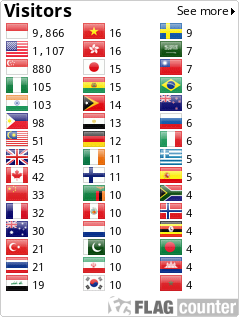 Flag Counter
