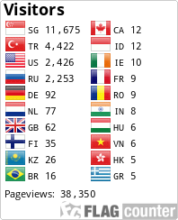 Flag Counter