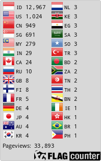 Flag Counter