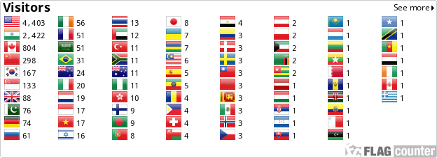 Flag Counter