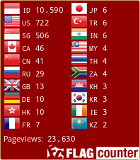 Flag Counter