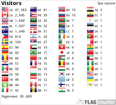 Flag Counter