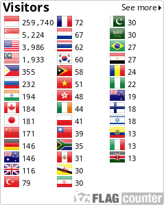 Flag Counter