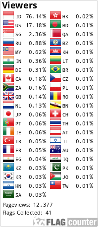 Flag Counter