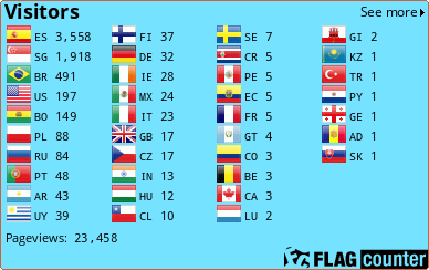 Flag Counter