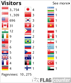 Flag Counter