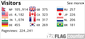 Flag Counter