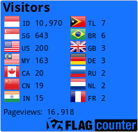 Flag Counter