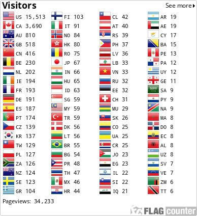 Flag Counter